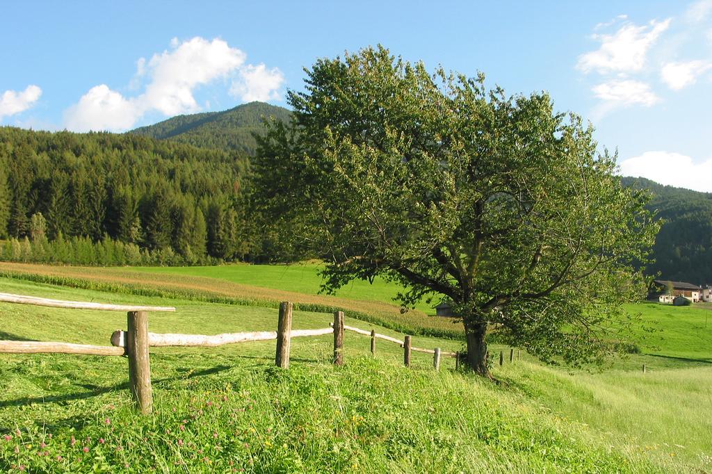 Spisserhof К'юза Екстер'єр фото